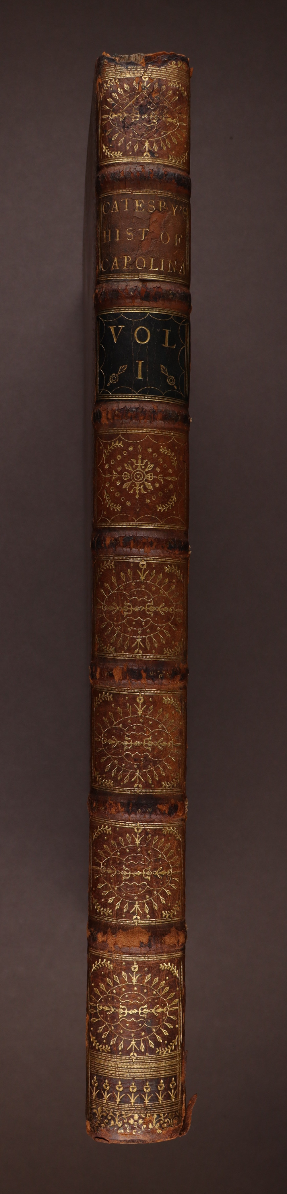 Spine